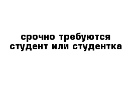 срочно требуются студент или студентка